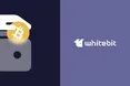 Розумні інвестиції: як отримати дохід на біржі WhiteBIT