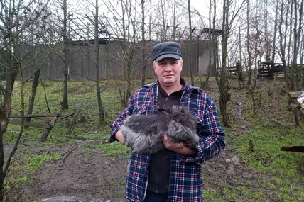 Бельгійський бородань — найулюбленіша порода Андрія Івахіва. Фото автора