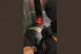 Трагедія в ліфті на Миколайчука: у Львові юнак впав у шахту під час спроби саморятування