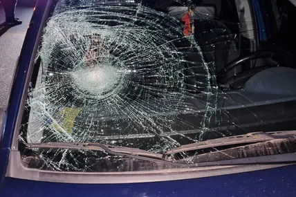 Фото: Поліція Львівської області