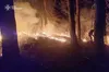 Паління сухої трави ледь не закінчилося трагедією: на Яворівщині у пожежі травмувався чоловік
