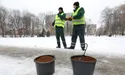 На кавовій гущі у Львові не ворожать. Нею… доріжки посипають