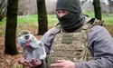 Бойовим медикам і їхнім пацієнтам піднімає настрій мавпочка Зіна