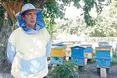 На пасіці постав музей меду