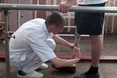 Хто врятує Протезний завод?