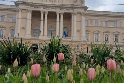 Двісті тисяч тюльпанів створюють теплу весняну атмосферу у Львові