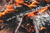 На Львівщині в пожежі загинув 69-річний чоловік