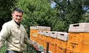 Від музиканта до пасічника